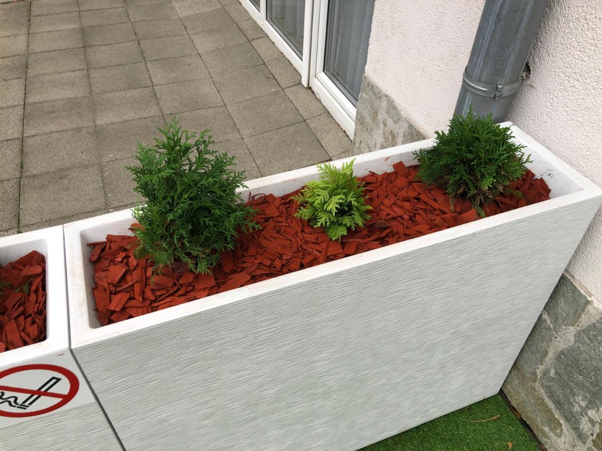 Apartament studio Czarna Góra II Sienna  Zewnętrze zdjęcie